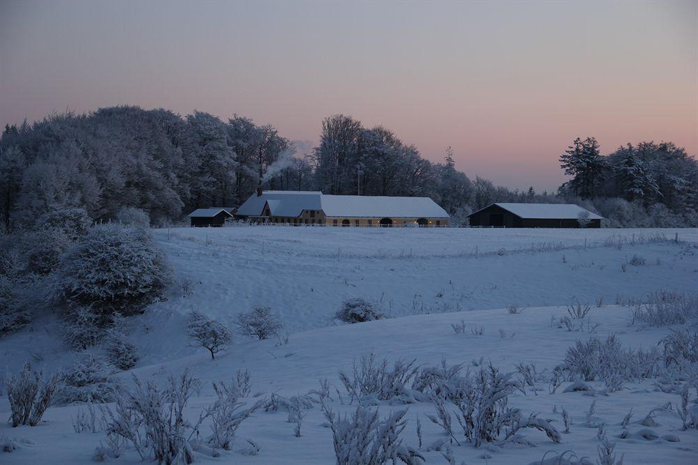 Munkebjerg Bed & Breakfast Børkop Esterno foto