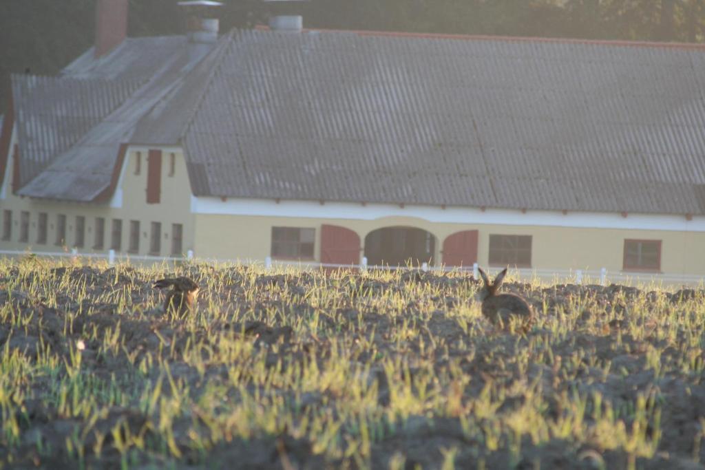 Munkebjerg Bed & Breakfast Børkop Esterno foto